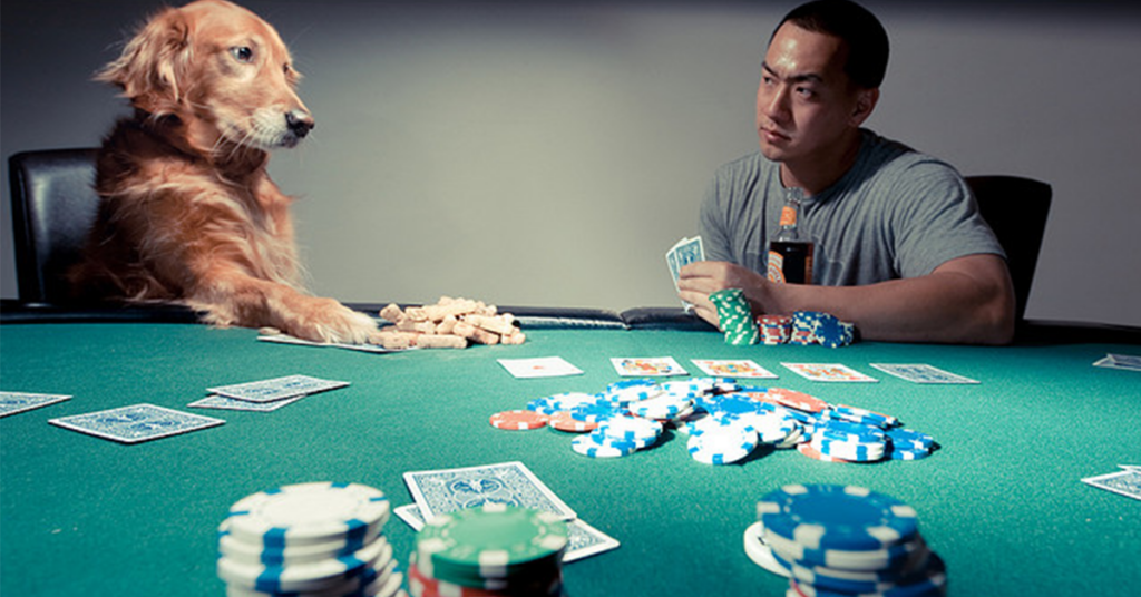 Тактика Лимп в покере